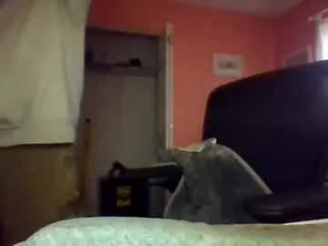 Chaturbate tomcat4848 is Freechat tomcat4848 — #chat #chubby #hi #bear (teddy)