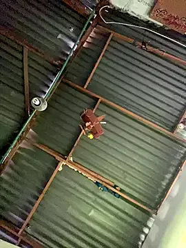 Freechat ElNegroRony on StripChat