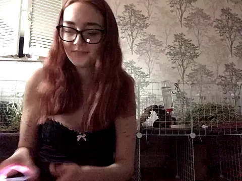 Freechat ivysplayhouse on StripChat