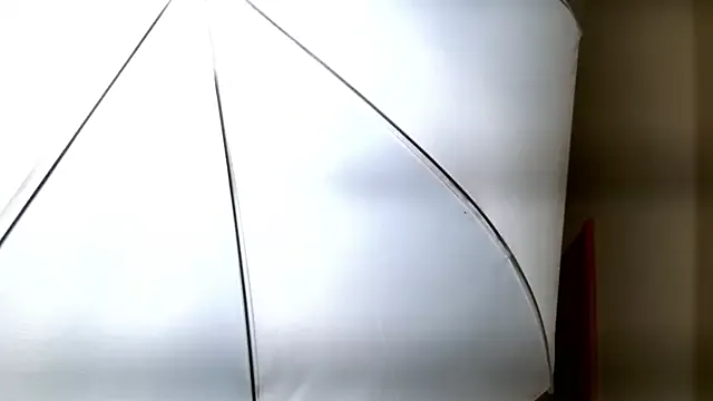 Ledy_Mary — SEDUCTION WITHOUT PANTIES