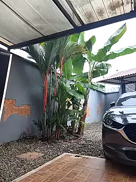 Freechat Mavi_roouse_ on StripChat