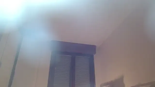 Freechat Regina_5 on StripChat